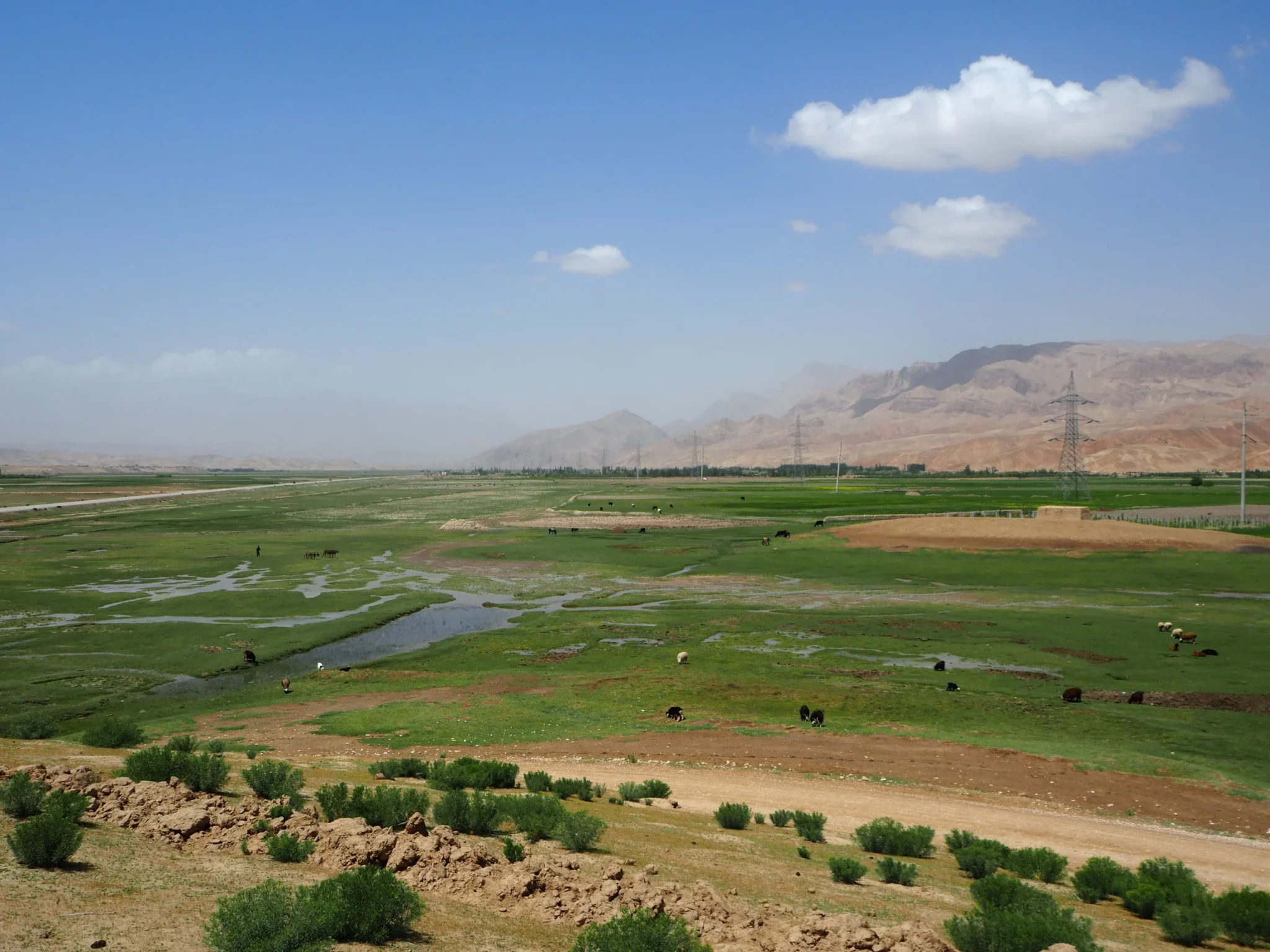 Attachment 5 D 42 F 3 C 19 D 214 D 00011917 Eb