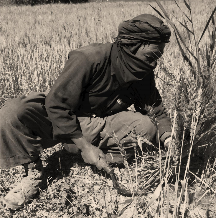 Attachment 5 D 5282 F 8 F 51 E 2 C 0001 A 0 Ddc 1