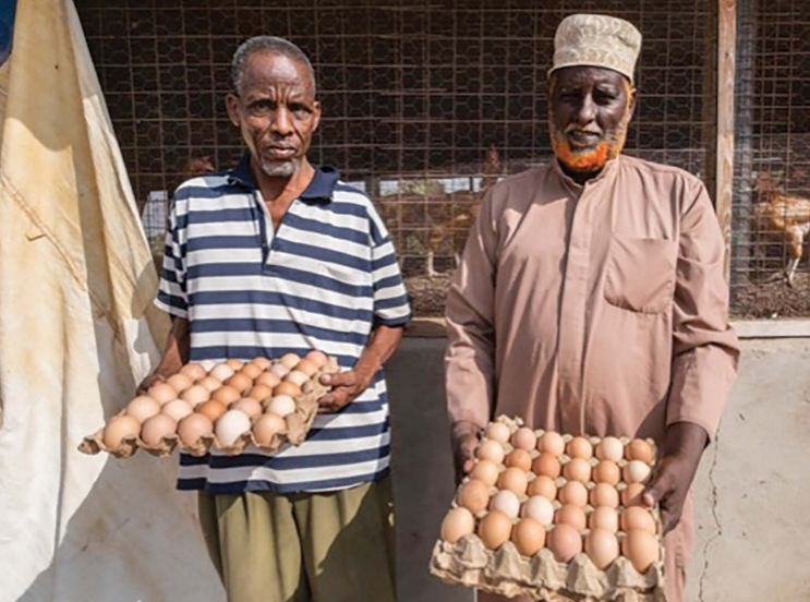 Attachment 5 D 53 Efec 6 Ae 6850001 Fdb 345