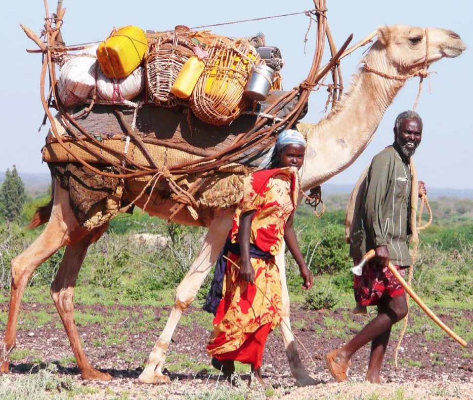 Attachment 5 D 1 F 1 Ea 1 A 7584 E 00011796 C 9