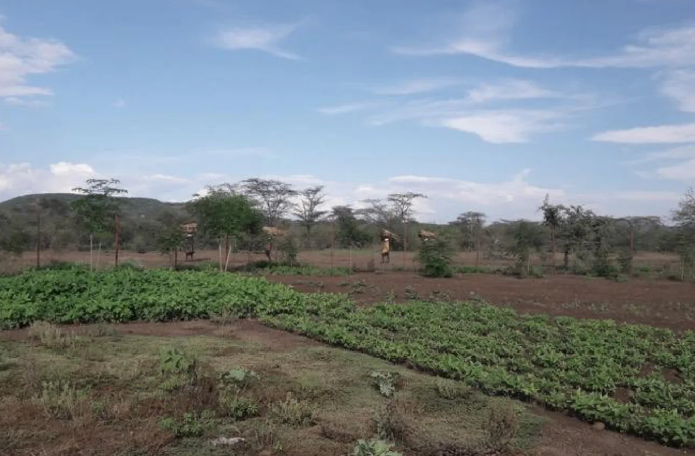 Attachment 5 D 1 F 0 Be 0 Ac 21 B 90001 Ce 2 Ec 2