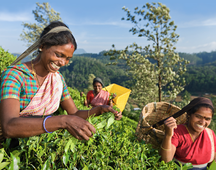 Attachment 607 D 3 B 28 F 0 C 3115 Eec 5 F 25 B 9