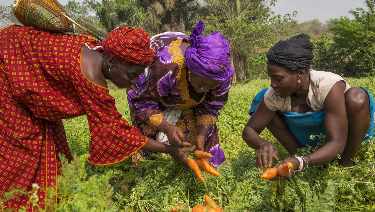 Attachment 644 Afda 81 B 2 A 3 C 41 E 1 F 38 D 38