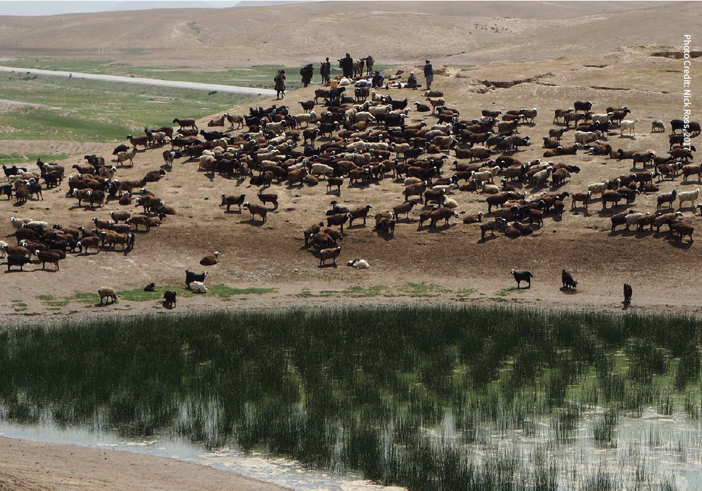 Attachment 68 B 7 F 45 Fb 1 Dee 26 Adde 28 E 29