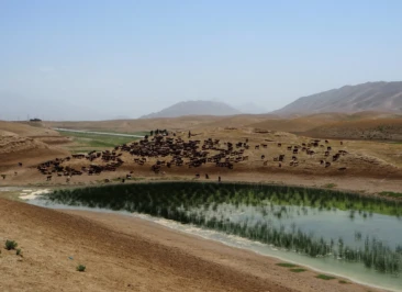 Attachment 5 D 42 Ef 9 A 7 Dbfeb 0001 De 1 E 22