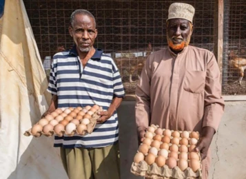 Attachment 5 D 53 Efec 6 Ae 6850001 Fdb 345