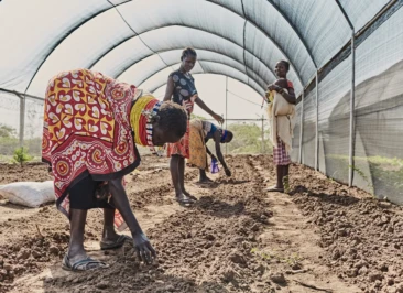 Attachment 63 D 8 Af 5815253 C 14598 E 8738