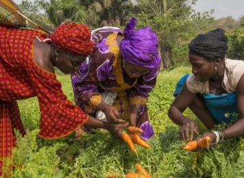 Attachment 644 Afda 81 B 2 A 3 C 41 E 1 F 38 D 38