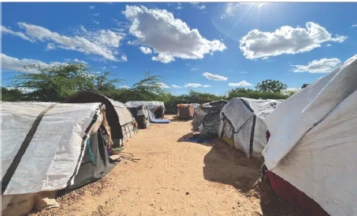 Attachment 67616 D 73 D 943 Ea 67 D 066289 D