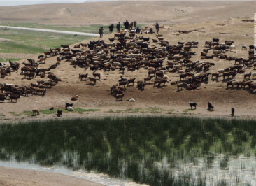 Attachment 68 B 7 F 45 Fb 1 Dee 26 Adde 28 E 29