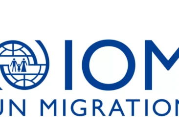 Attachment 660 Ba 8 C 4 E 67 A 9 B 49 D 323 E 653