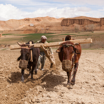 Smallboxes Forexport 0017)