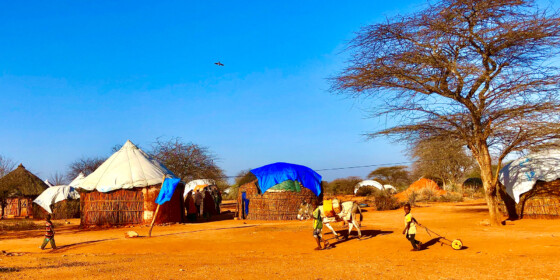 Landscapeboxes 2000 X 1000 0003 Ethi Img 8261