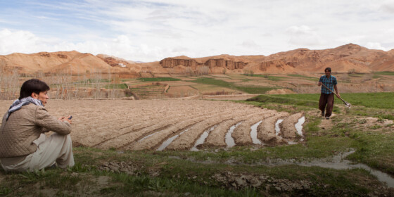Landscapeboxes 2000 X 1000 0004 20140504 Bamyan