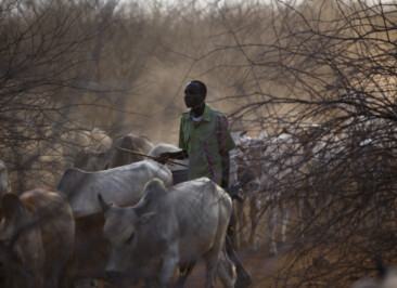 Members Of Kenya's, Turkana Tribe From Turkana In Northern Kenya