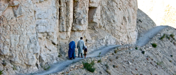 Publication Image