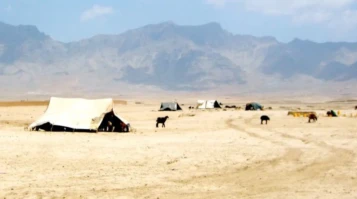 Attachment 5 D 1 Efc 7 Ea 7584 E 0001166489