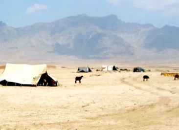 Attachment 5 D 1 Efc 7 Ea 7584 E 0001166489