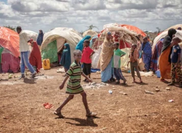 Attachment 5 D 1 F 0312 Cedf 75000118 A 31 F