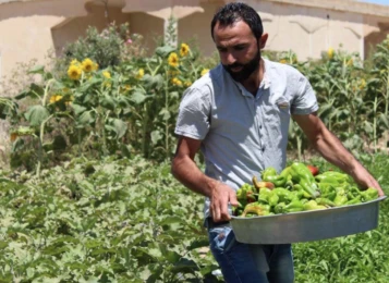 Attachment 5 D 1 F 17 De 8 Df 1 E 60001506 D 64