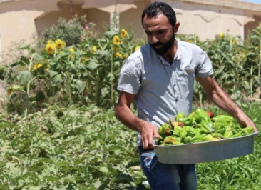 Attachment 5 D 1 F 17 De 8 Df 1 E 60001506 D 64