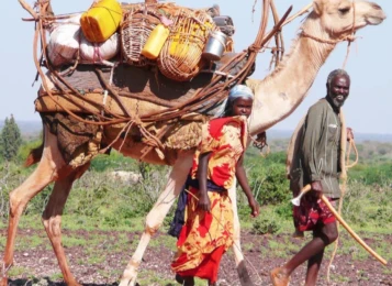 Attachment 5 D 1 F 1 Ea 1 A 7584 E 00011796 C 9