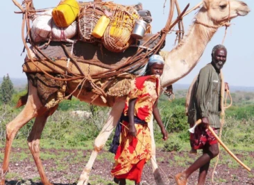 Attachment 5 D 1 F 1 Ea 1 A 7584 E 00011796 C 9