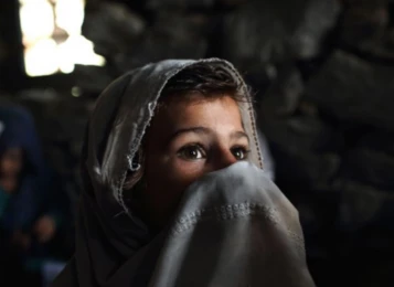 Attachment 5 D 42 Db 47 Ce 7 Cd 20001 F 65 D 1 C