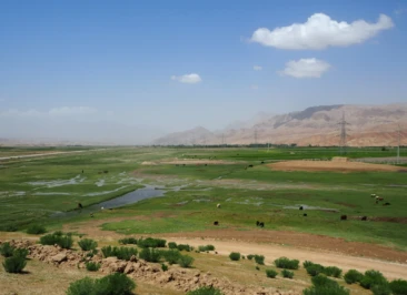 Attachment 5 D 42 F 3 C 19 D 214 D 00011917 Eb