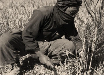 Attachment 5 D 5282 F 8 F 51 E 2 C 0001 A 0 Ddc 1