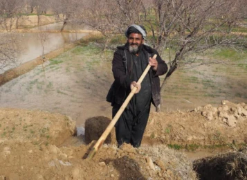 Attachment 5 Ef 3154 Feecd 537 B 4 A 6 Acd 8 E