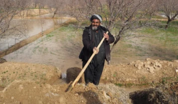 Attachment 5 Ef 3154 Feecd 537 B 4 A 6 Acd 8 E