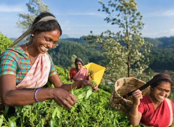 Attachment 607 D 3 B 28 F 0 C 3115 Eec 5 F 25 B 9