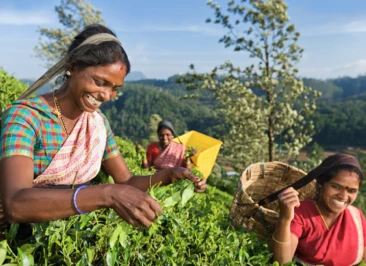 Attachment 607 D 3 B 28 F 0 C 3115 Eec 5 F 25 B 9