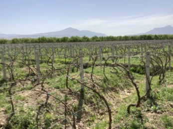 Attachment 61927 A 322 D 5 Dd 56253 Dc 86 C 0