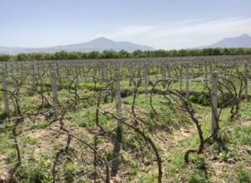 Attachment 61927 A 322 D 5 Dd 56253 Dc 86 C 0